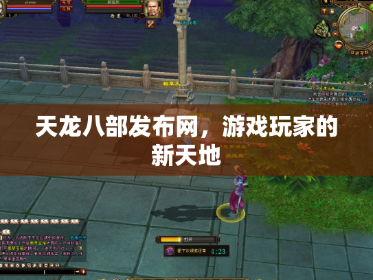 天龙八部发布网，游戏玩家的新天地