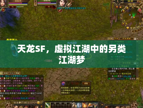 天龙SF，虚拟江湖中的另类江湖梦
