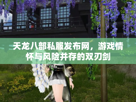 天龙八部私服发布网，游戏情怀与风险并存的双刃剑