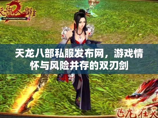 天龙八部私服发布网，游戏情怀与风险并存的双刃剑