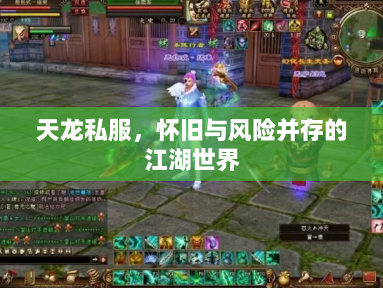 天龙私服，怀旧与风险并存的江湖世界