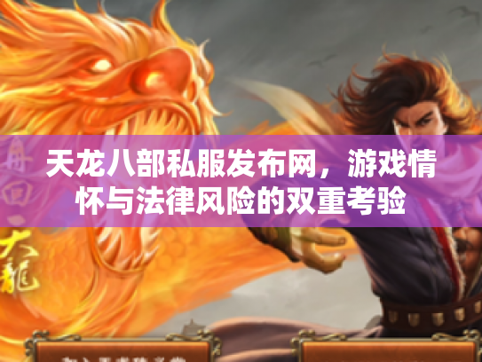 天龙八部私服发布网，游戏情怀与法律风险的双重考验