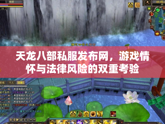 天龙八部私服发布网，游戏情怀与法律风险的双重考验