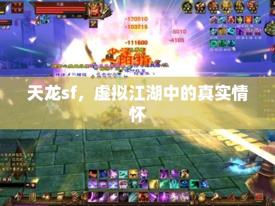天龙sf，虚拟江湖中的真实情怀