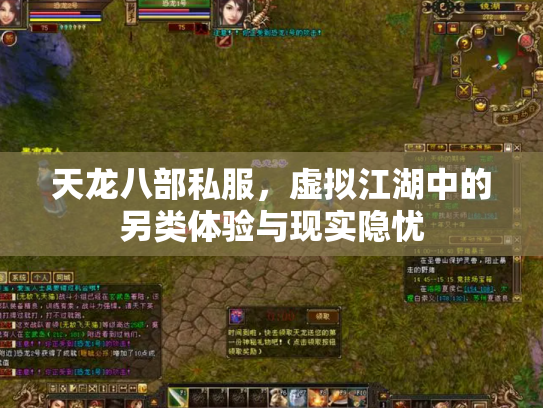 天龙八部私服，虚拟江湖中的另类体验与现实隐忧