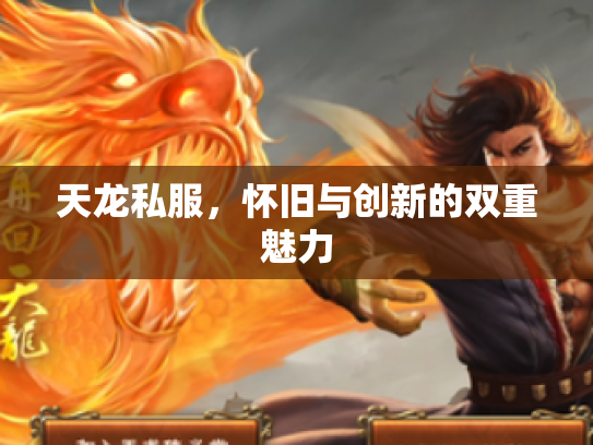天龙私服，怀旧与创新的双重魅力