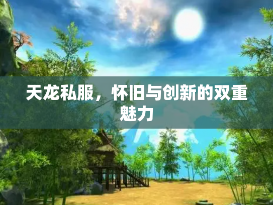 天龙私服，怀旧与创新的双重魅力