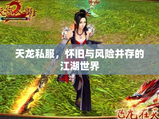 天龙私服，怀旧与风险并存的江湖世界