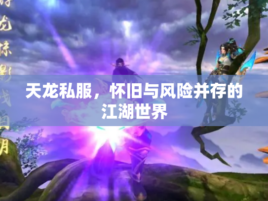 天龙私服，怀旧与风险并存的江湖世界
