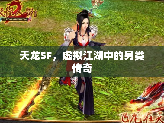 天龙SF，虚拟江湖中的另类传奇