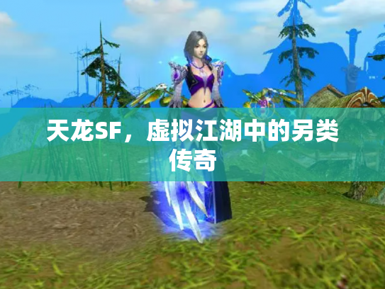 天龙SF，虚拟江湖中的另类传奇