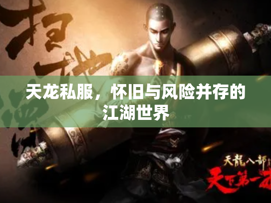 天龙私服，怀旧与风险并存的江湖世界