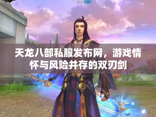 天龙八部私服发布网，游戏情怀与风险并存的双刃剑