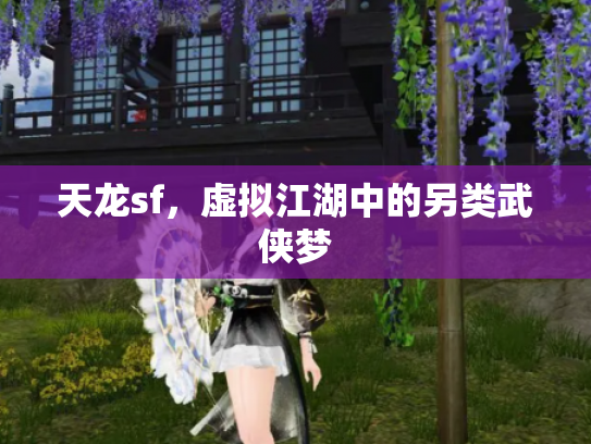 天龙sf，虚拟江湖中的另类武侠梦