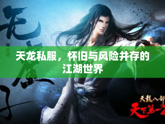 天龙私服，怀旧与风险并存的江湖世界