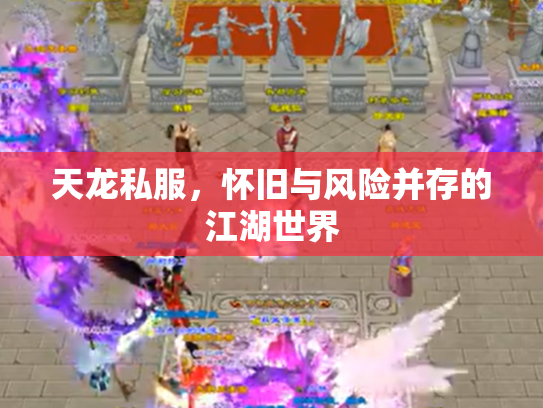 天龙私服，怀旧与风险并存的江湖世界