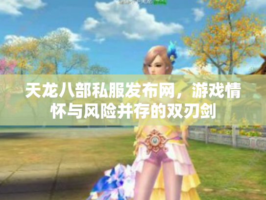天龙八部私服发布网，游戏情怀与风险并存的双刃剑