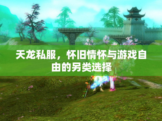 天龙私服，怀旧情怀与游戏自由的另类选择