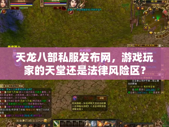 天龙八部私服发布网，游戏玩家的天堂还是法律风险区？