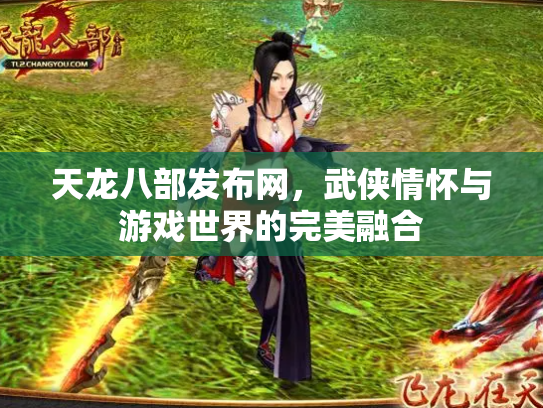 天龙八部发布网，武侠情怀与游戏世界的完美融合