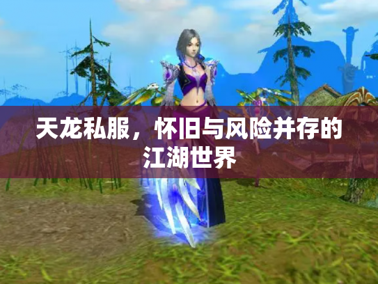 天龙私服，怀旧与风险并存的江湖世界