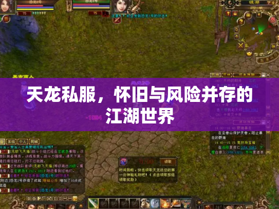 天龙私服，怀旧与风险并存的江湖世界