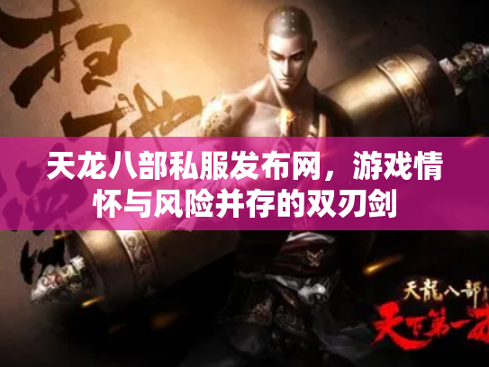 天龙八部私服发布网，游戏情怀与风险并存的双刃剑