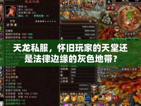 天龙私服，怀旧玩家的天堂还是法律边缘的灰色地带？