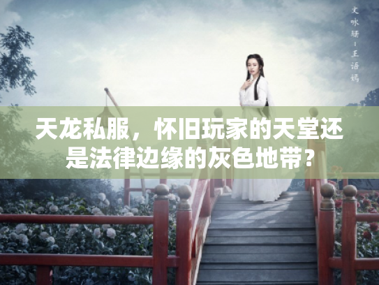 天龙私服，怀旧玩家的天堂还是法律边缘的灰色地带？