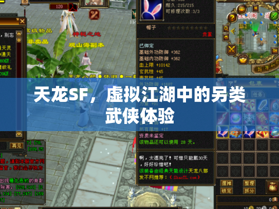 天龙SF，虚拟江湖中的另类武侠体验