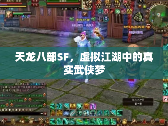 天龙八部SF，虚拟江湖中的真实武侠梦