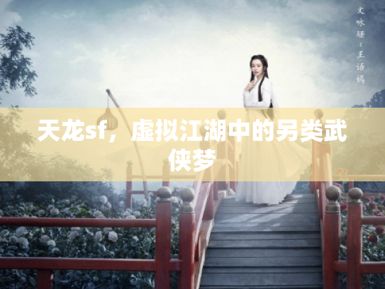 天龙sf，虚拟江湖中的另类武侠梦