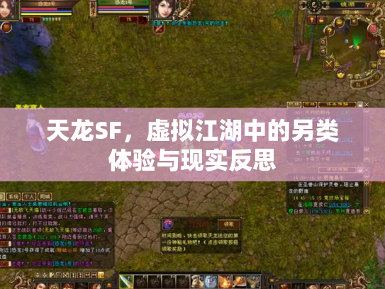 天龙SF，虚拟江湖中的另类体验与现实反思