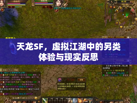 天龙SF，虚拟江湖中的另类体验与现实反思
