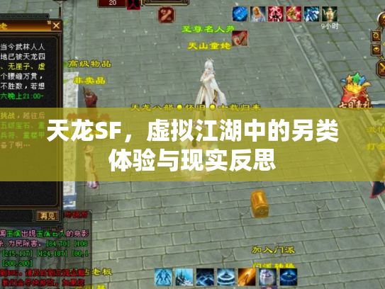天龙SF，虚拟江湖中的另类体验与现实反思