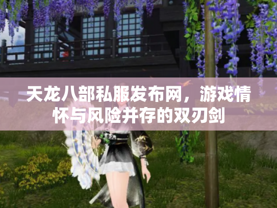 天龙八部私服发布网，游戏情怀与风险并存的双刃剑