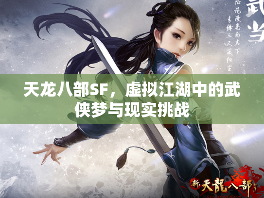 天龙八部SF，虚拟江湖中的武侠梦与现实挑战