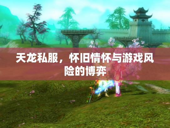 天龙私服，怀旧情怀与游戏风险的博弈