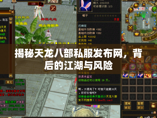 揭秘天龙八部私服发布网，背后的江湖与风险