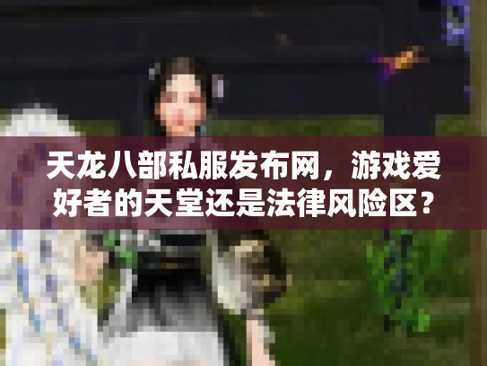天龙八部私服发布网，游戏爱好者的天堂还是法律风险区？