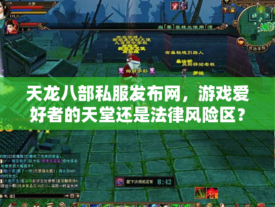天龙八部私服发布网，游戏爱好者的天堂还是法律风险区？