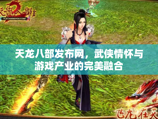 天龙八部发布网，武侠情怀与游戏产业的完美融合