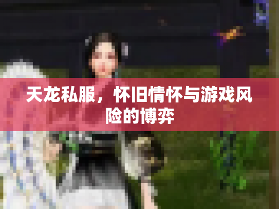 天龙私服，怀旧情怀与游戏风险的博弈