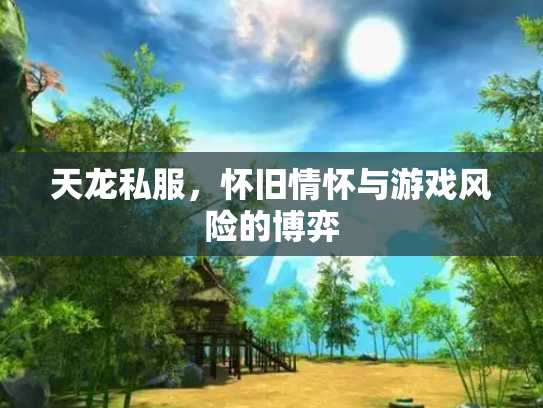 天龙私服，怀旧情怀与游戏风险的博弈