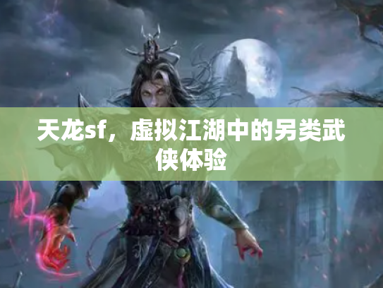 天龙sf，虚拟江湖中的另类武侠体验