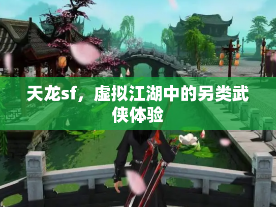 天龙sf，虚拟江湖中的另类武侠体验