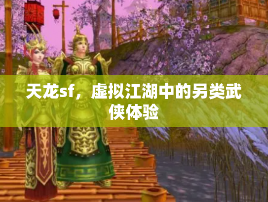 天龙sf，虚拟江湖中的另类武侠体验