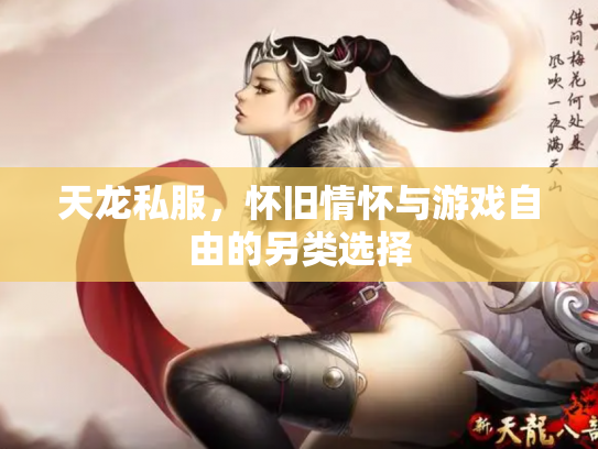 天龙私服，怀旧情怀与游戏自由的另类选择