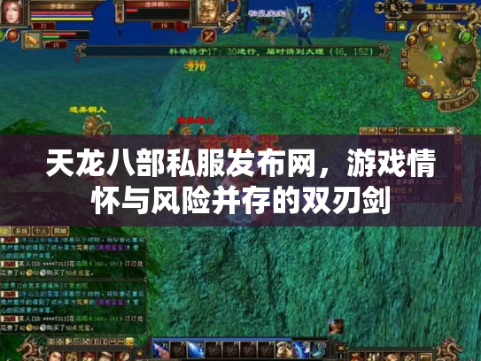 天龙八部私服发布网，游戏情怀与风险并存的双刃剑