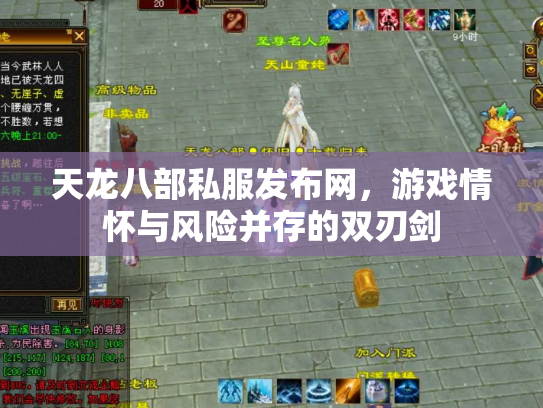 天龙八部私服发布网，游戏情怀与风险并存的双刃剑
